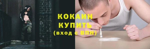 шишки Волоколамск