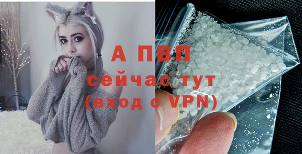 шишки Волоколамск
