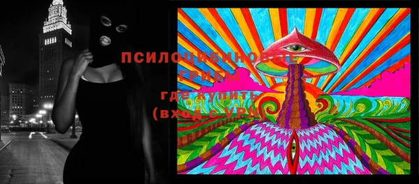 гидра Верея