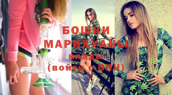 гидра Верея
